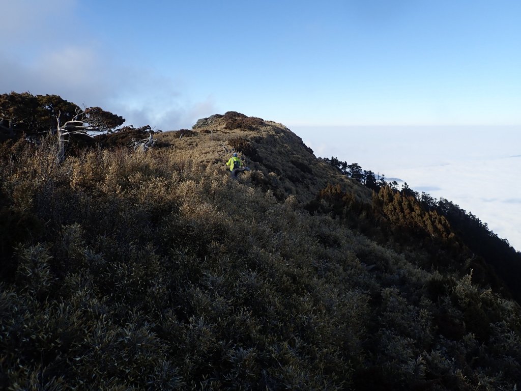 20190208南湖大山東北峰_524673