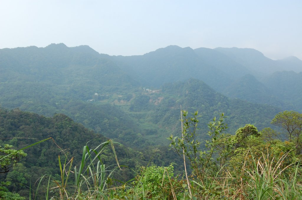 菁桐古道_1960826