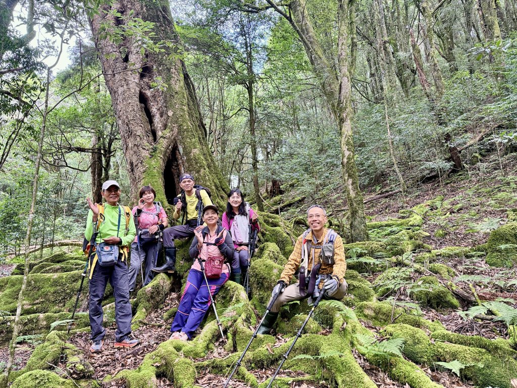 船型山神木悠遊    2025.09.22封面圖
