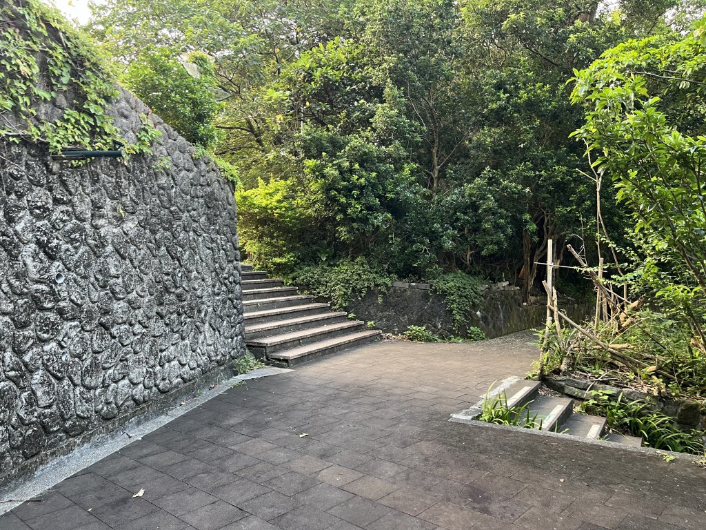 [微笑山線_第六段] 2025_0807 二格山系_和美山螢火蟲段_2854621