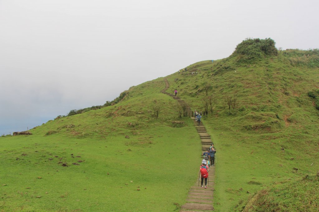 大溪- 桃源谷- 埡口- 大里_1921023