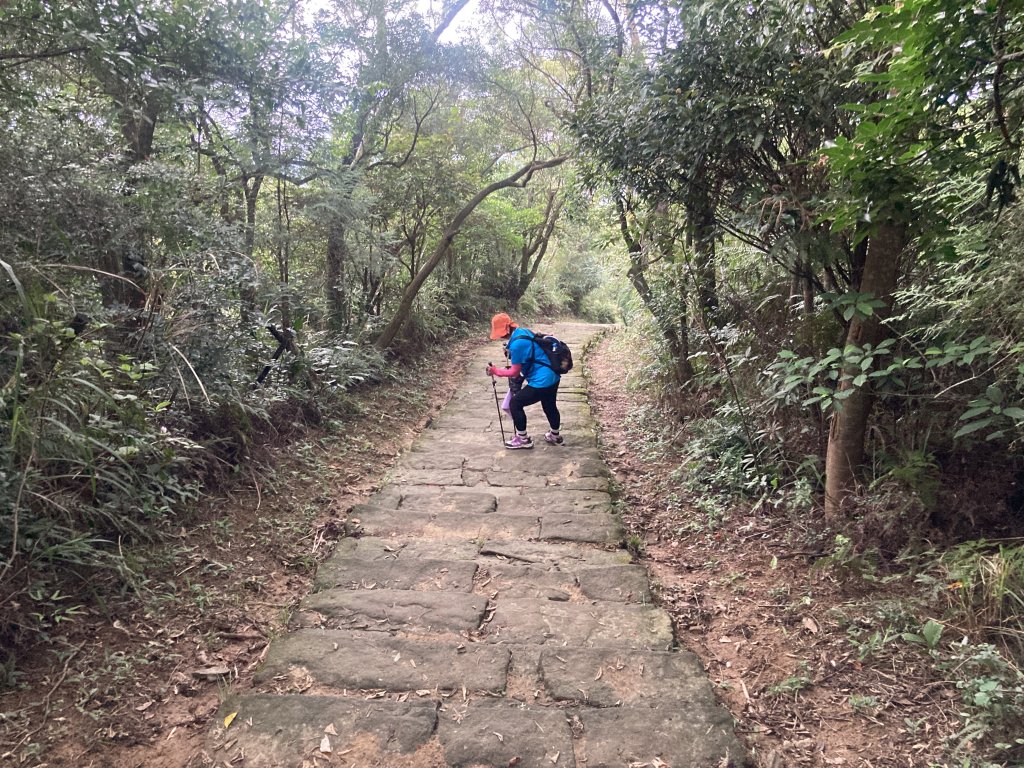 大崙頭山_2532686