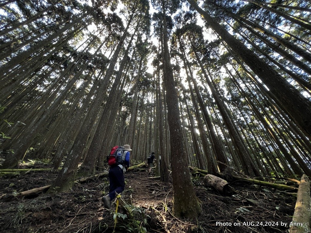 民都有山就是漂亮的夏天冷氣房_2582219