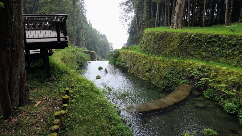 阿里山森遊區-神木步道_2536839