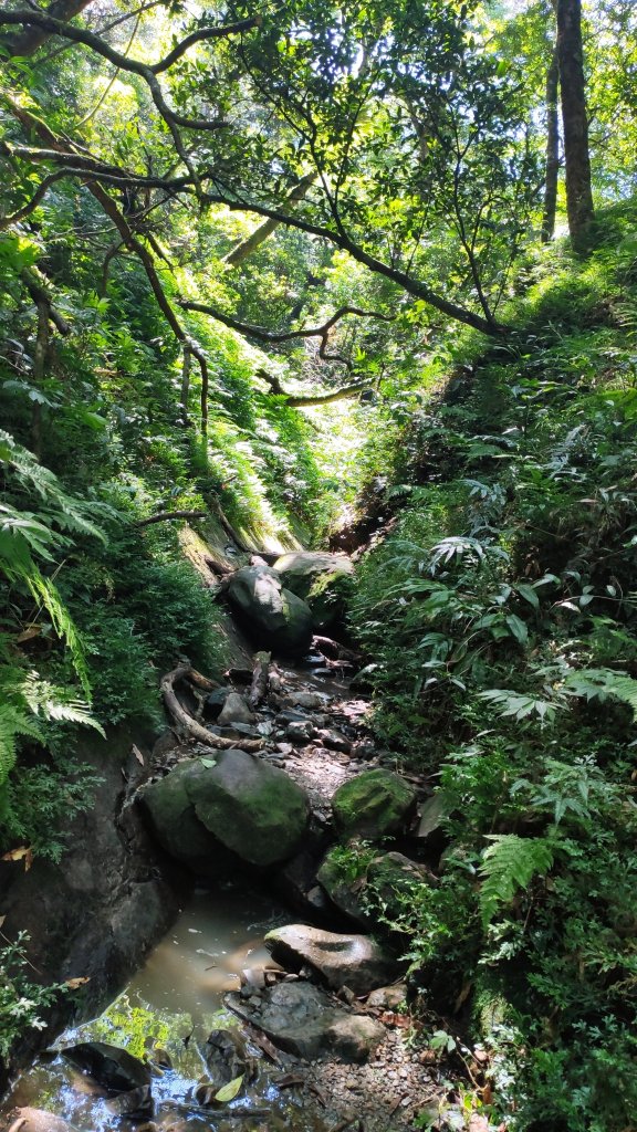 拔刀爾山四個三角點_1116190