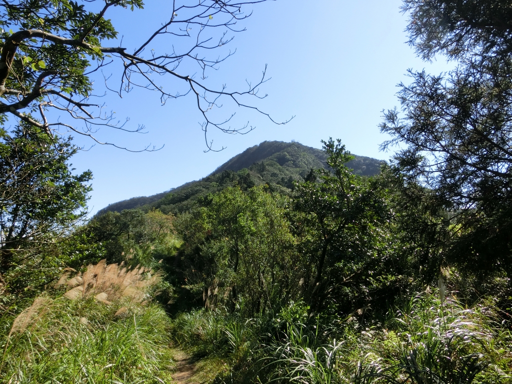 獅仔頭山隘勇線_91996