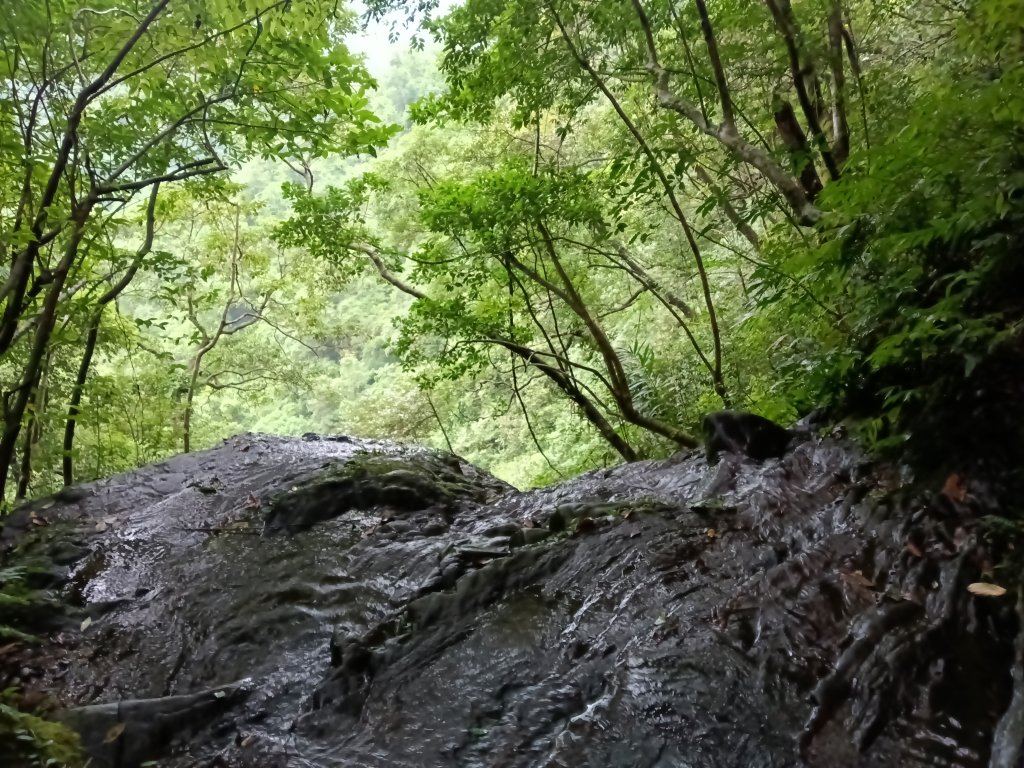 雙溪區中坑古道+大夯瀑布+中坑東山+中坑東山尾稜O型_2921552