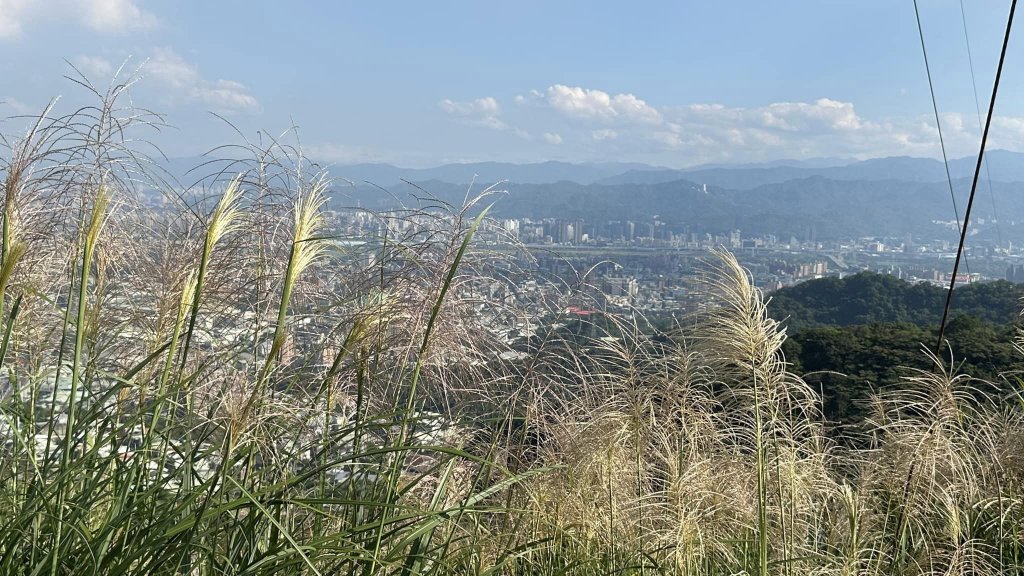20231105三角埔頂山_2354442