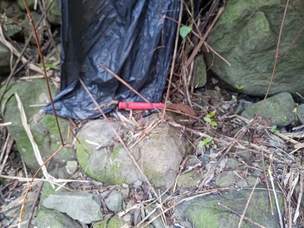 獅子頭山_2440442