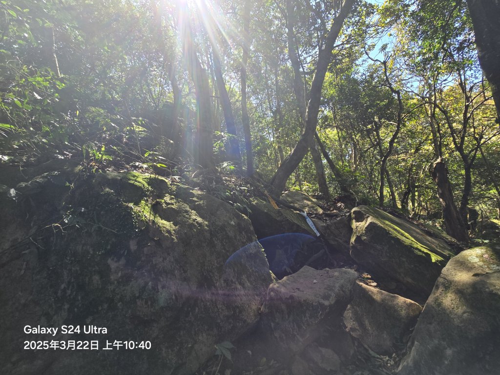 2025-03-22油羅山步道_2743404
