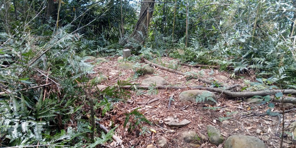 偏離縱走路線的山頭-二確山封面圖