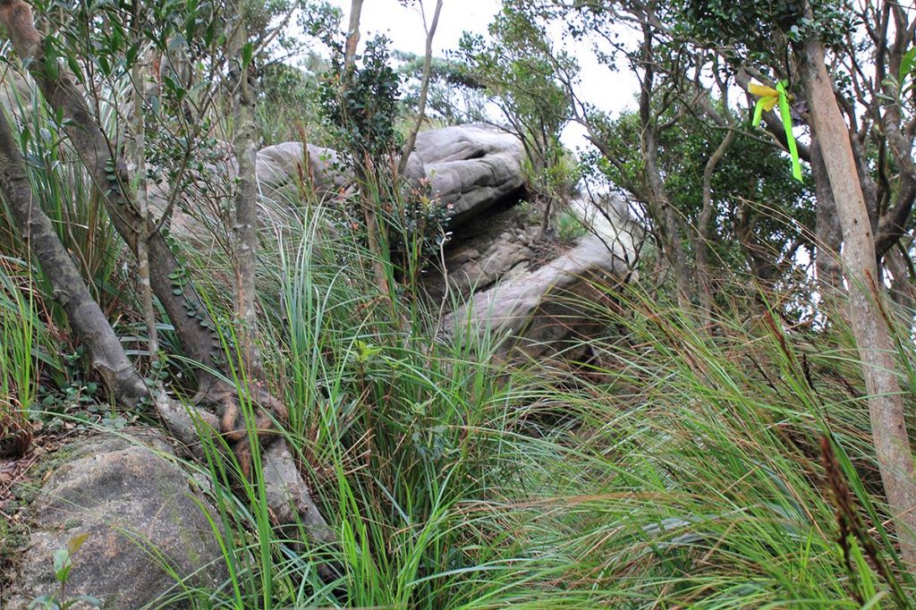 汐止金明山.柯子林山.如意湖O型_291432