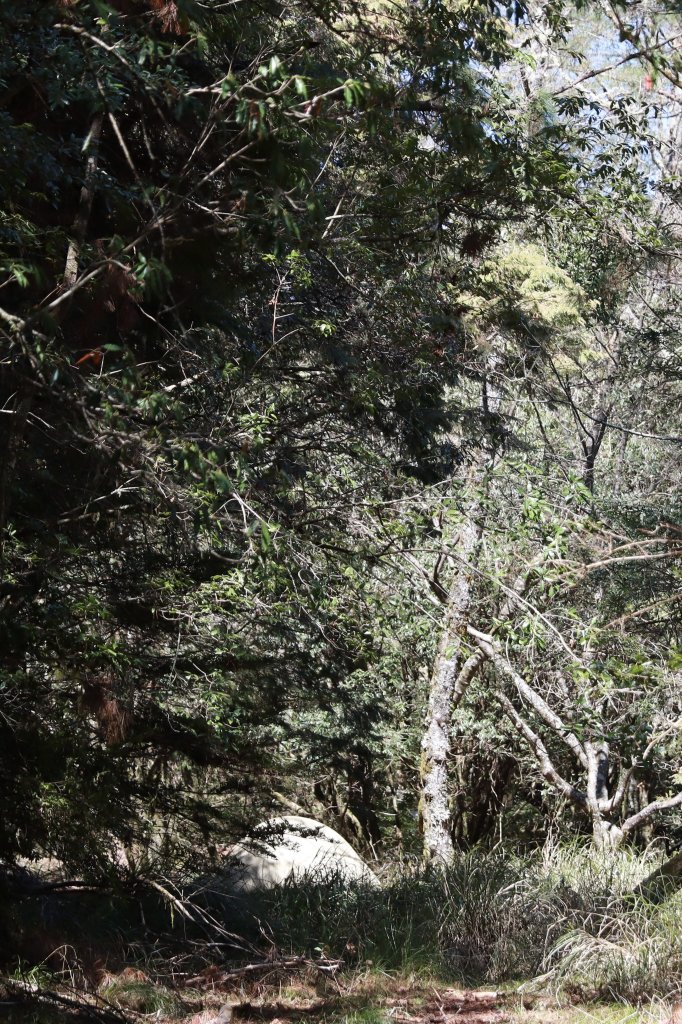 北三錐山耍廢行_2747050