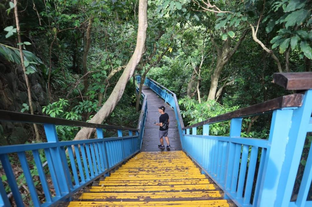 〔內湖〕文間山，劍南蝶園，劍潭古寺，婆婆橋 鄭成功廟步道_2249193
