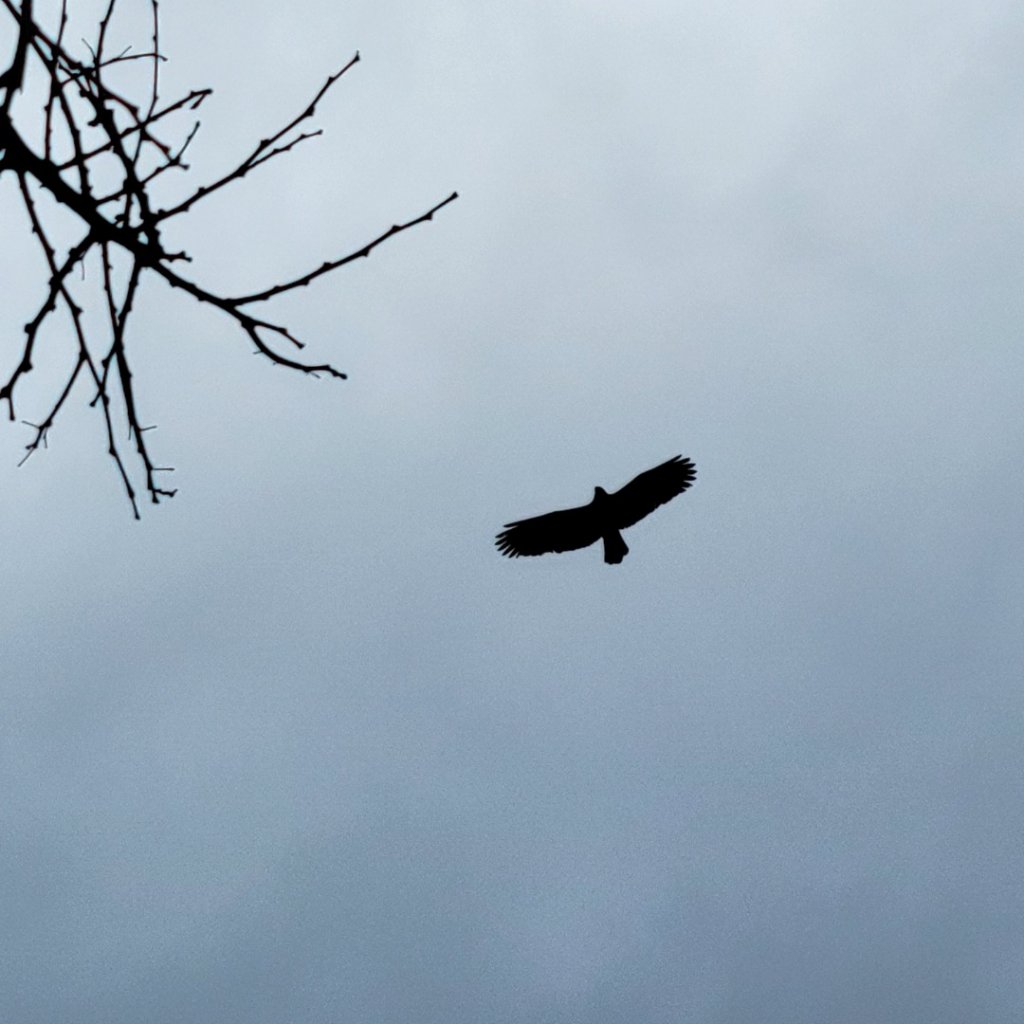 麟山鼻岬角步道_1621072