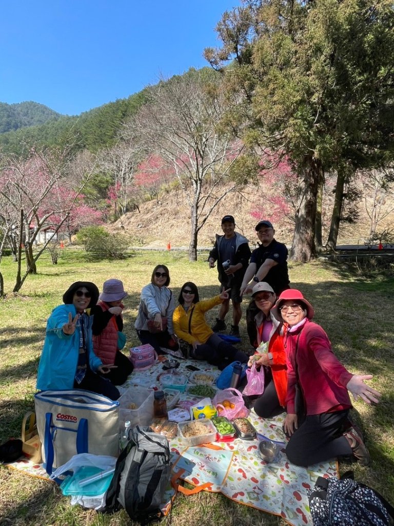 雪山東峰+武陵賞櫻封面圖