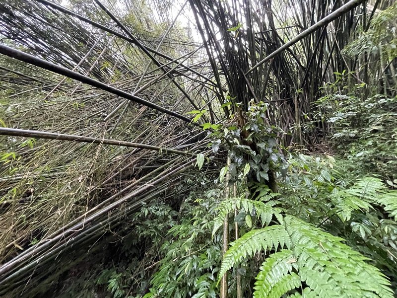 汐止-石碇_2761559