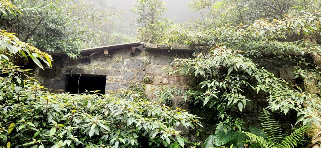 大砲岩，石壇山，大屯溪古道，三板橋，白雞山，雞罩山，石門內尖山，中和外員山，中坑山東北峰_2073355