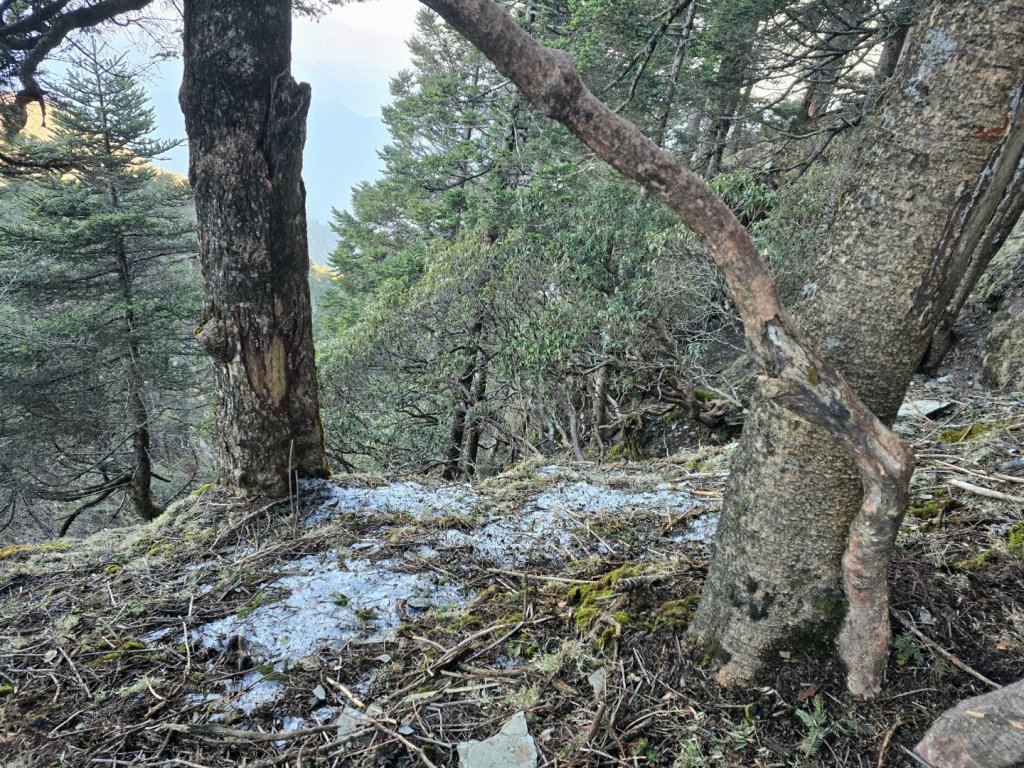 卓社大山〔武界栗栖溪登山口起登〕_2748480