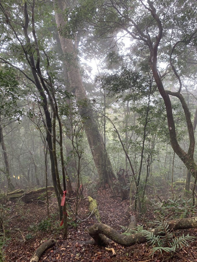 20251220嘉義凸龜山-芙蓉山-天福山_2973816