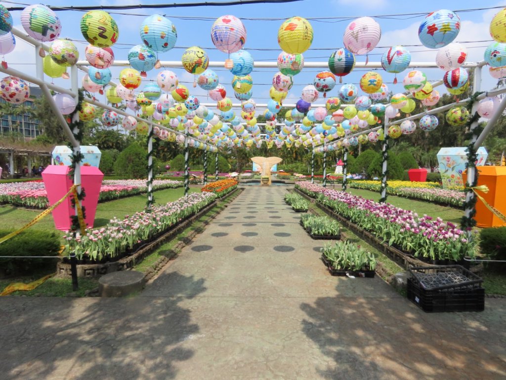 2024［士林官邸鬱金香展］（2/22~3/3）（2024/2/21）_2437756