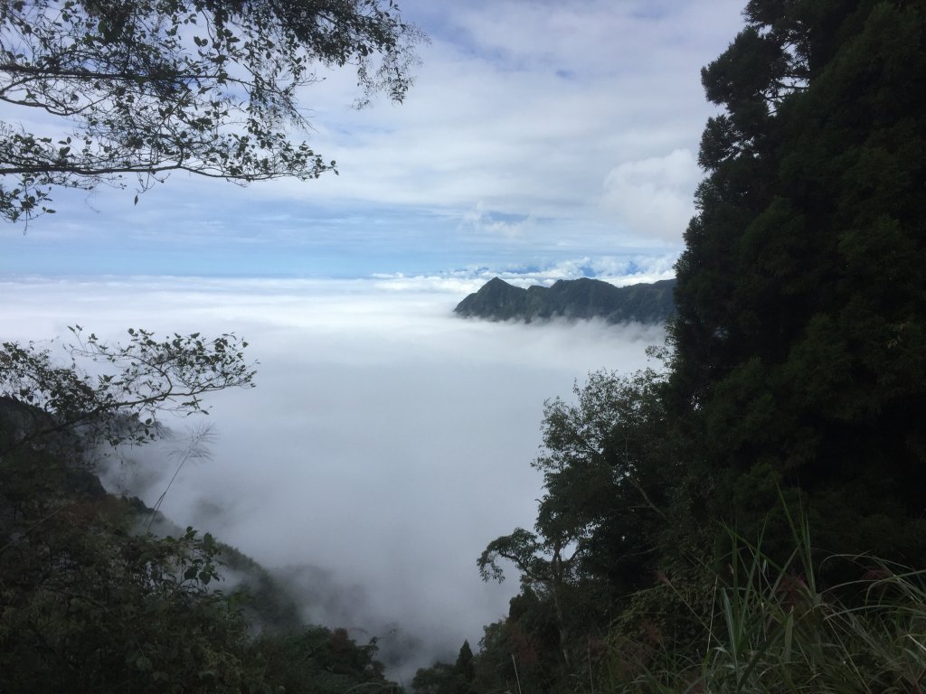 20201024南投龍鳳山O型縱走_1145114