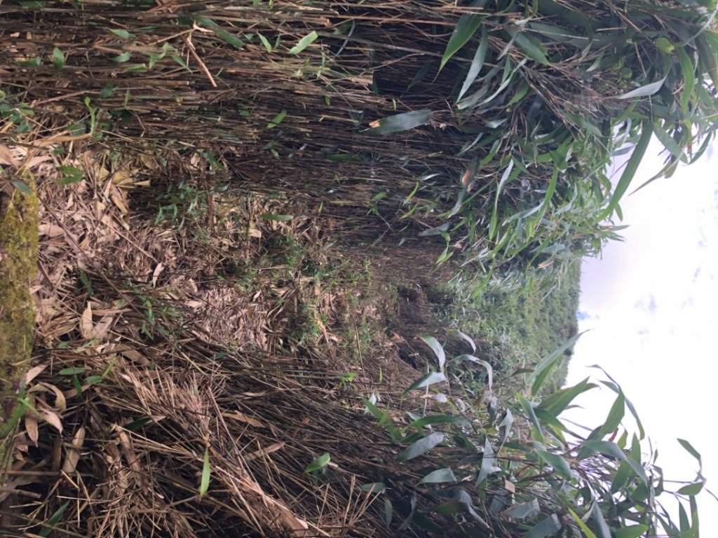 巴唐古道上三角崙山_1755828