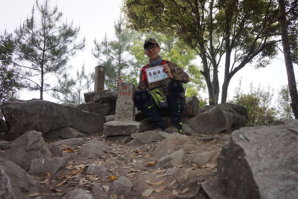 松鶴線八唐O縱_306557