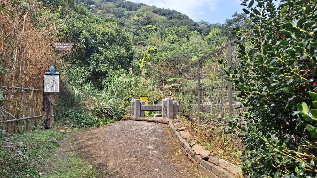 20240305坪頂古圳-登峰圳-內雙溪古道-瑪礁古道-大崎頭步道O繞_2447156