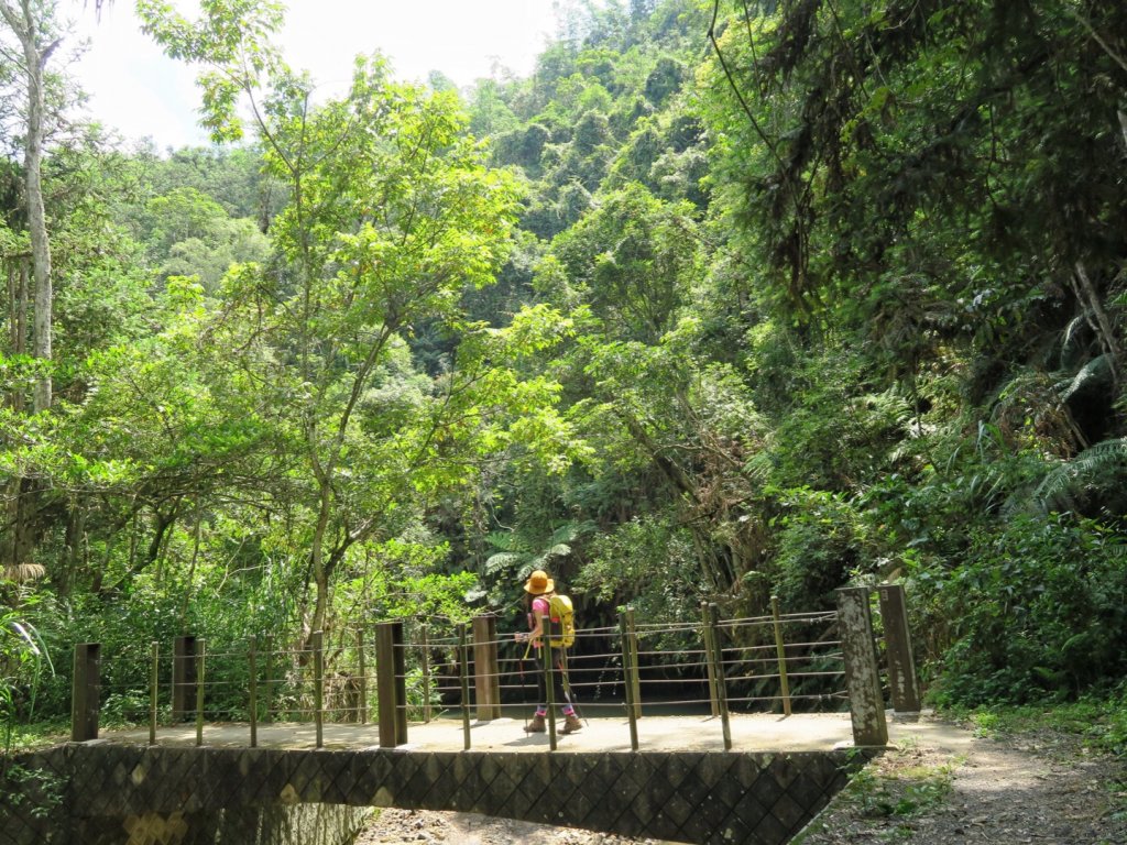 澀水森林步道 水上平台 水上瀑布_1442204