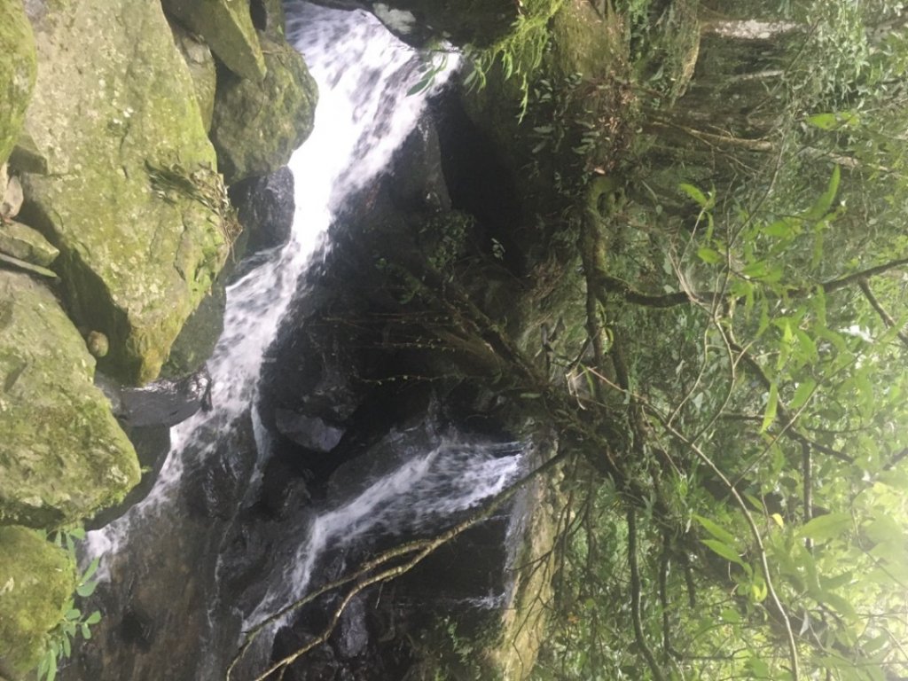 天使瀑布、米老鼠步道_2240786