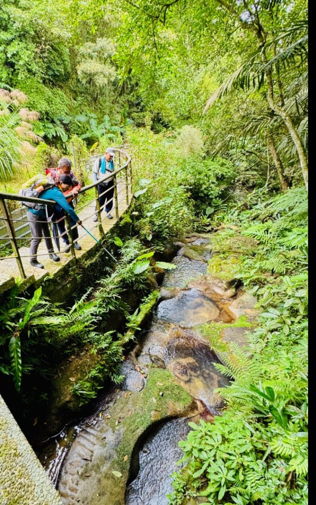 南港山(小百岳#13)/中華科技大學南港山來回_2938331