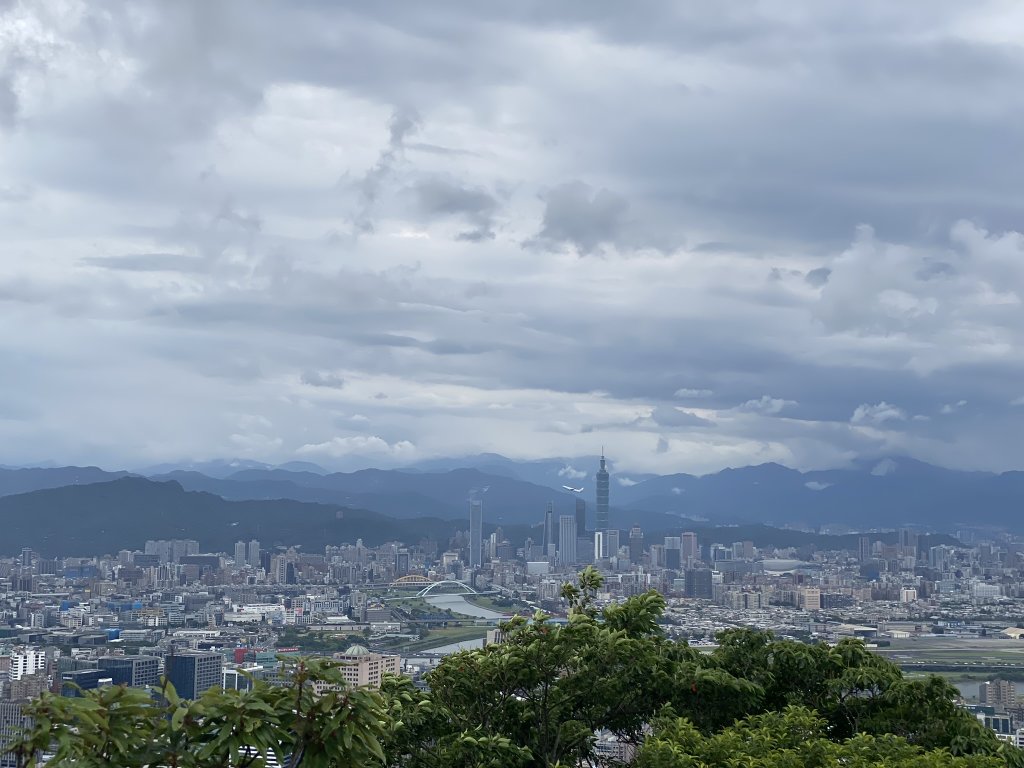 20240519金面山親山步道_2508075