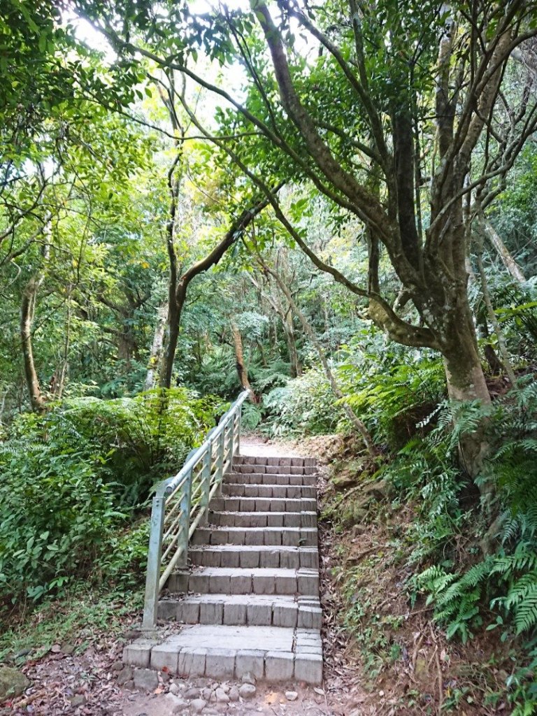 大崙頭尾親山步道_470628