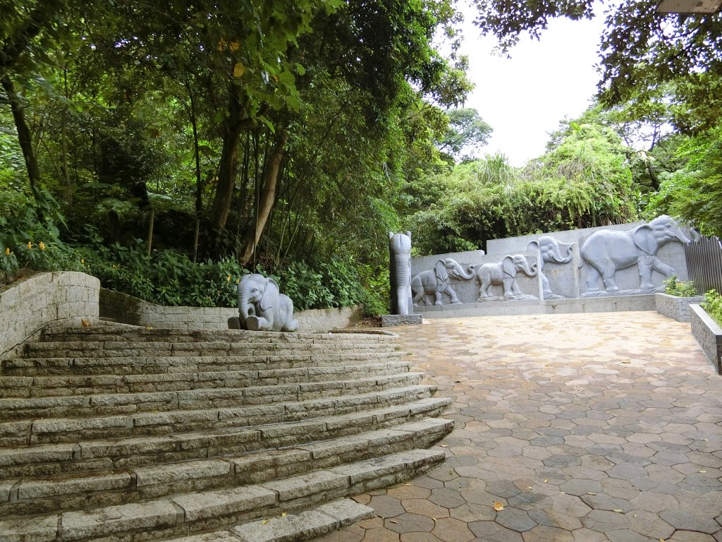 城市裡就能感受山林綠意~象山親山步道封面圖