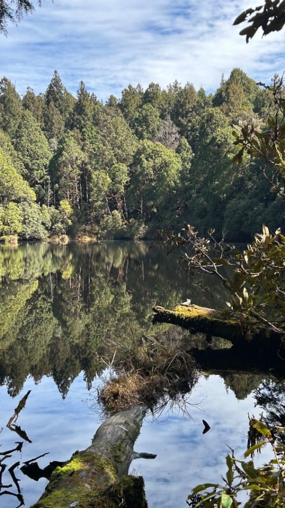 大同舊太平山神社給給池日向台_2748219