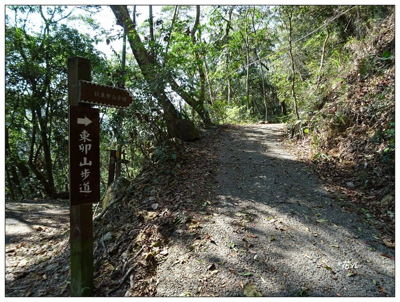 谷關七雄/東卯山4_1321221