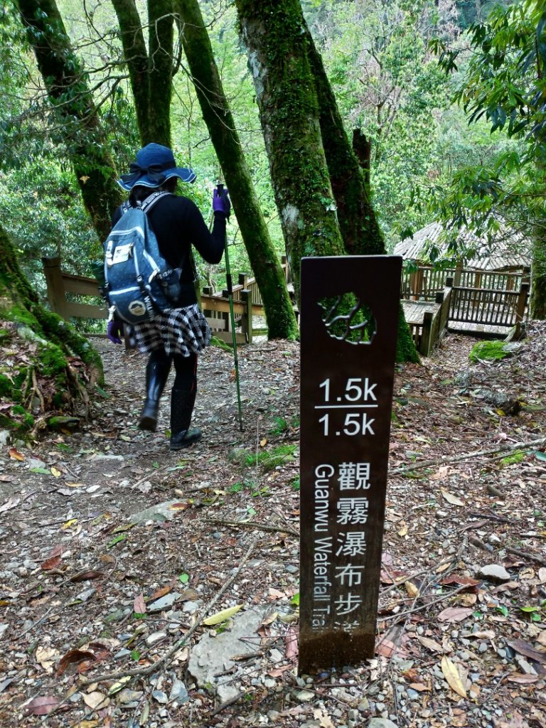 觀霧瀑布步道_1662973