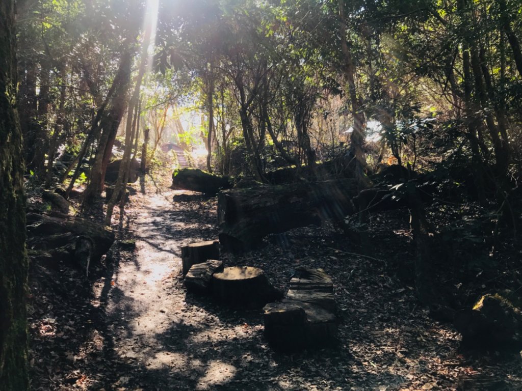 霞喀羅古道(養老-白石駐在所)。美麗10K絕無冷場_1583327