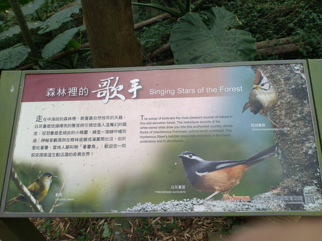 2023-03-04 奮起湖奮起步道_2057727