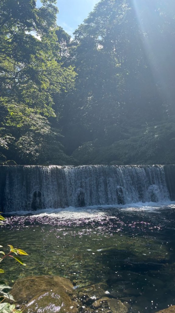 戲水（鴛鴦_2786659