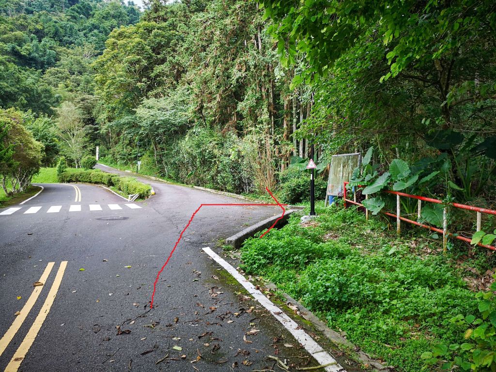 日月潭最高峰--水社大山_363188