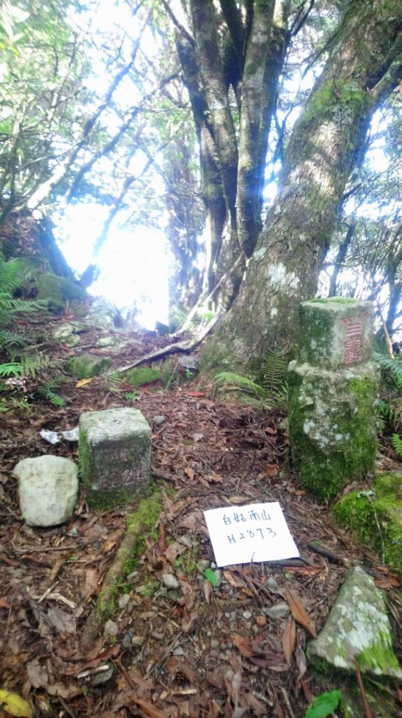 白姑南山，手比倫山，八東山_1006455