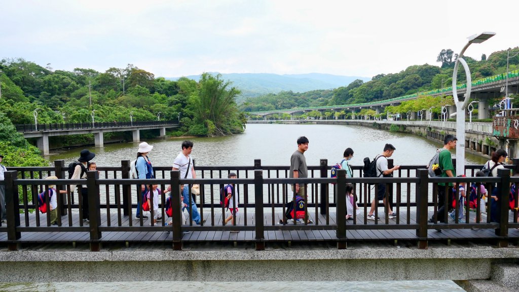 白石湖沒有百合花。晶片關稅_2781545