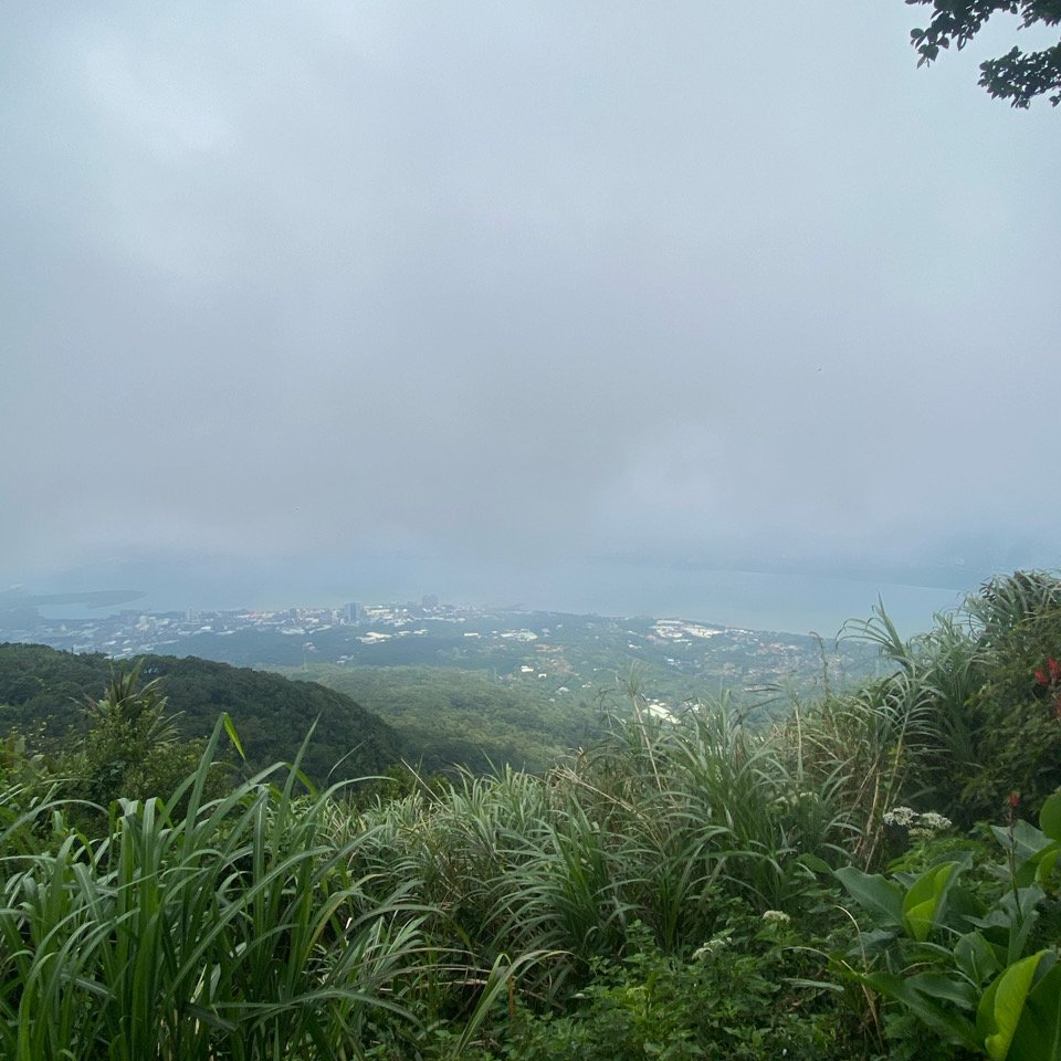 20240621觀音觀鷹尋寶任務楓櫃斗湖步道、牛寮埔登山步道、硬漢嶺步道、尖山登山步道_2535577