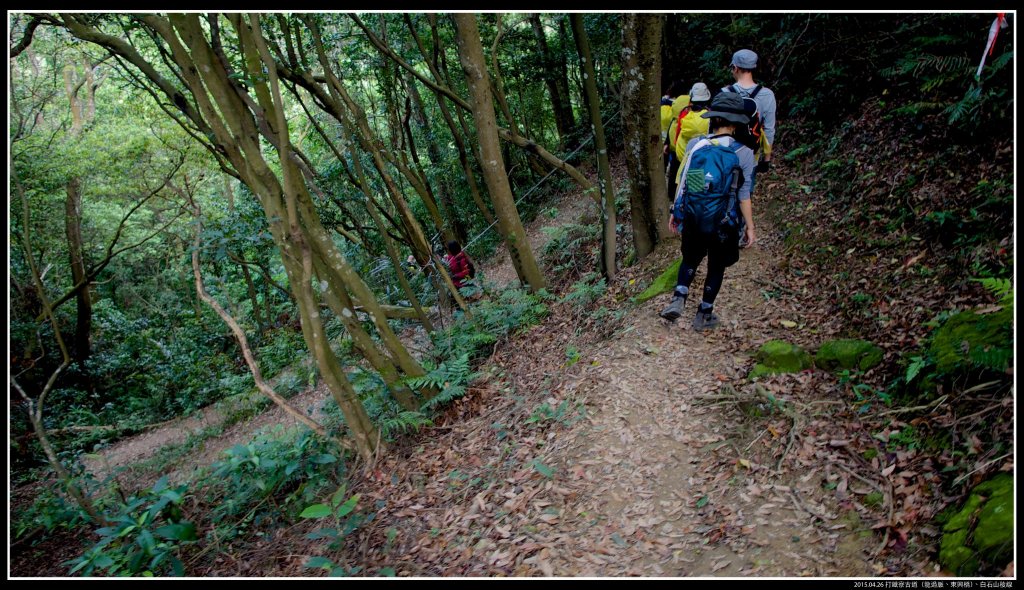 打鐵寮古道（龍過脈、東興橋）、白石山稜線_628061