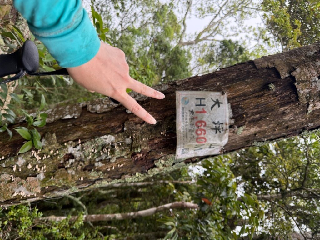 20250607 春谷養鱒場所上加里山 出大坪_2805213