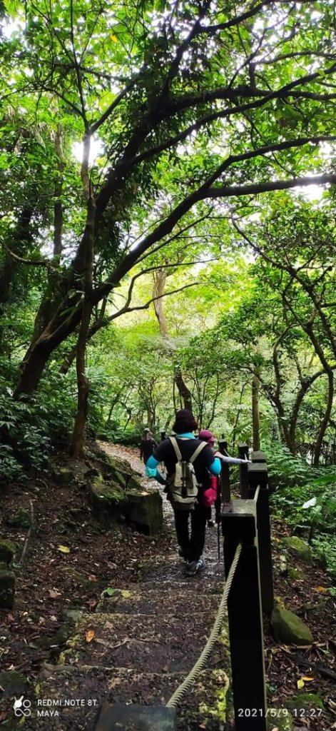 天上山（小百岳集起來）- 前半段路徑和靄可親、後半段面目猙獰_1379369