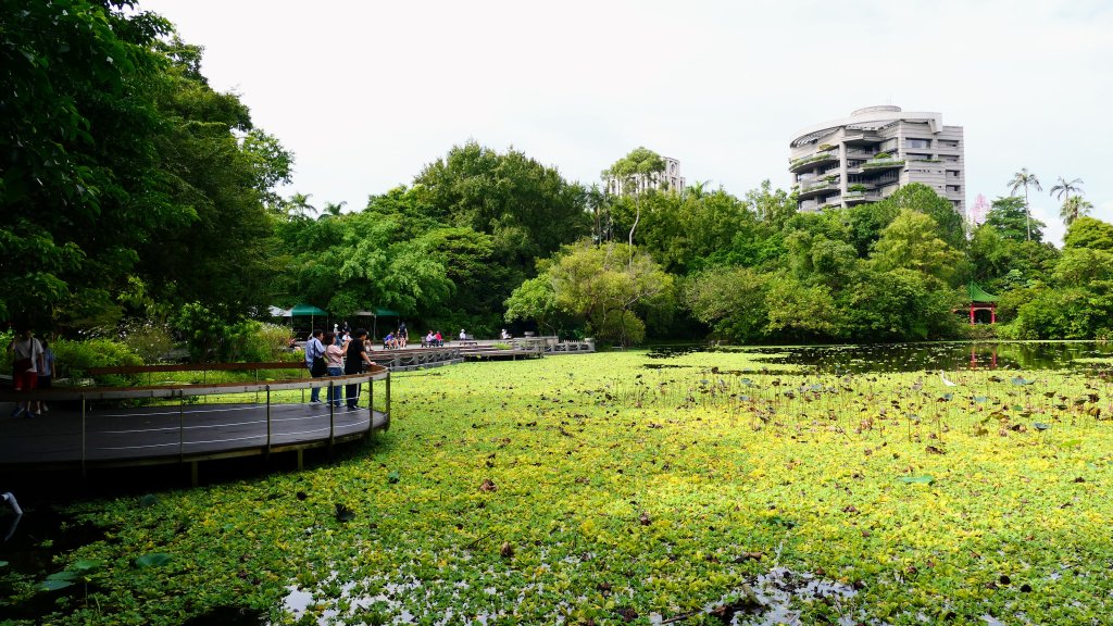 台北印象_2615330