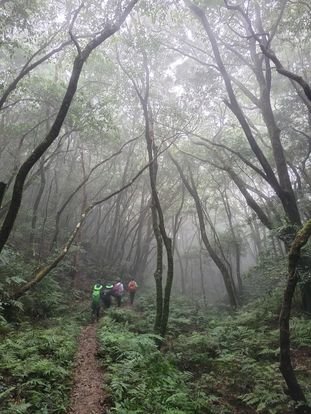 2022.10.09北插天山_1887679